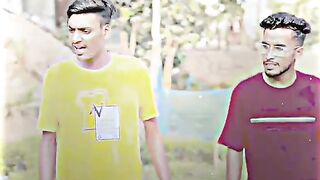 Funny Video 464