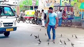 parindon ko khana khilana