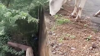 yah Hoti Hai Insaniyat