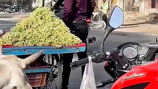 janvaron Ki Seva karna