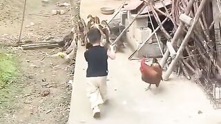 Fun   masti    FunVideo  funnyreels 94