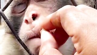 Fun   masti    FunVideo  funnyreels 95