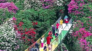 Beauty of Nature 15