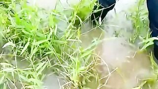 Viral RESCATAN UN TERNERO DE UNA ANACONDA EN
