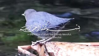 Tilawat e Quran e pak 2