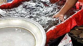 Fish video and fish market