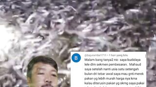 Niat hati ingin UNTUNG tapi malah BUNTUNGJangan lakukan hal konyol ini