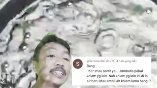 Cara persiapan air kolam sebelum melakukan penyortiran ikan lele