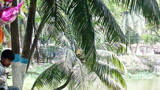 Nice view 19