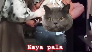 Wow original video red uncle sister Hong china