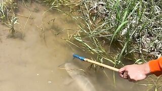 Amazing fishing video 2