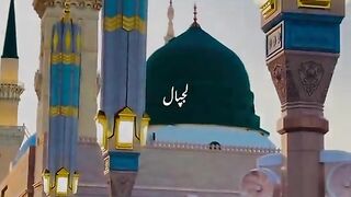 Laajpal Nabi mery