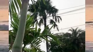 hati hati di jalan