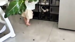 Fun   masti    FunVideo  funnyreels  viralvideo  trendingreels 7
