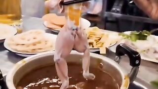 Fun   masti    FunVideo  funnyreels 99