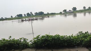 Nodir view