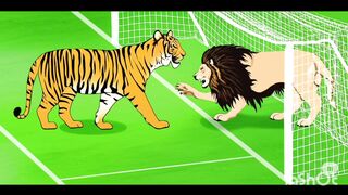 Tiger and lion football match 2
