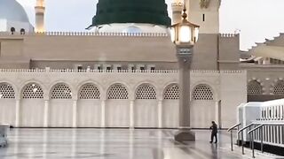 Hy besabri bari Dil no