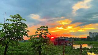 Beautiful natural View