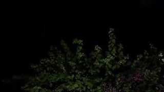 Islamic video 538