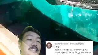 Cara persiapan air kolam sebelum sortir ikan lele