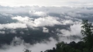 My new video.