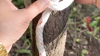 Fixed-point locking knot