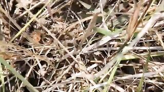 New Bangla Choti Golpo - Super Hot Romantic