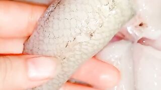 Fish salan u like food