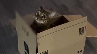 Give me eating