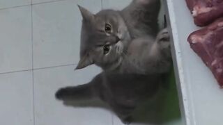 I want it 2