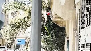 My first video 20