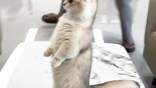 Haii what are you doing