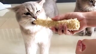 Delicious 8