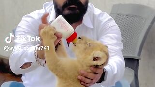 Sher ka baccha