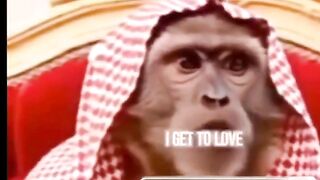 شيوخ عبيد ولى الأمر