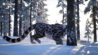 Tigers 3
