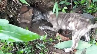 Fun   masti    FunVideo  funnyreels 120