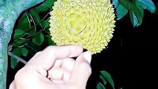 Fun   masti    FunVideo  funnyreels 128