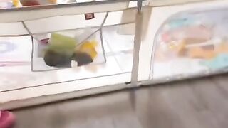 Fun   masti    FunVideo  funnyreels 135