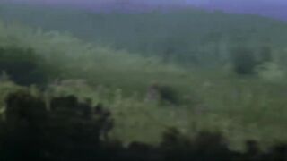 Kumar Sanu  Alka Yagnik  Mera Dil Bhi Kitna Pagal Hai  90s Song  Sanjay Dutt - Madhuri