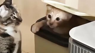 I touch you
