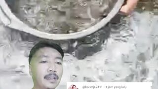 Kenapa ikan lele ada saja yang mati setelah disortir