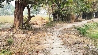 Our village 3
