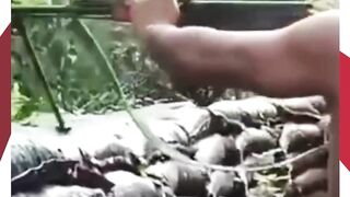 Konflik Thailand vs Kamboja Makin Panas!
