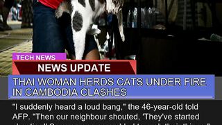 Thai Woman Herds Cats Under Fire in Cambodia Clash