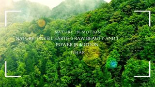 Nature in Motion