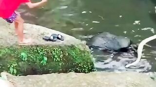 Top video of the day