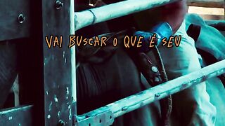 Motivaçaodiaria