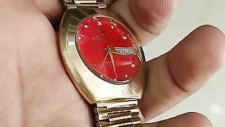 Felca Swiss Made watch 25jewalls automatic WATCH